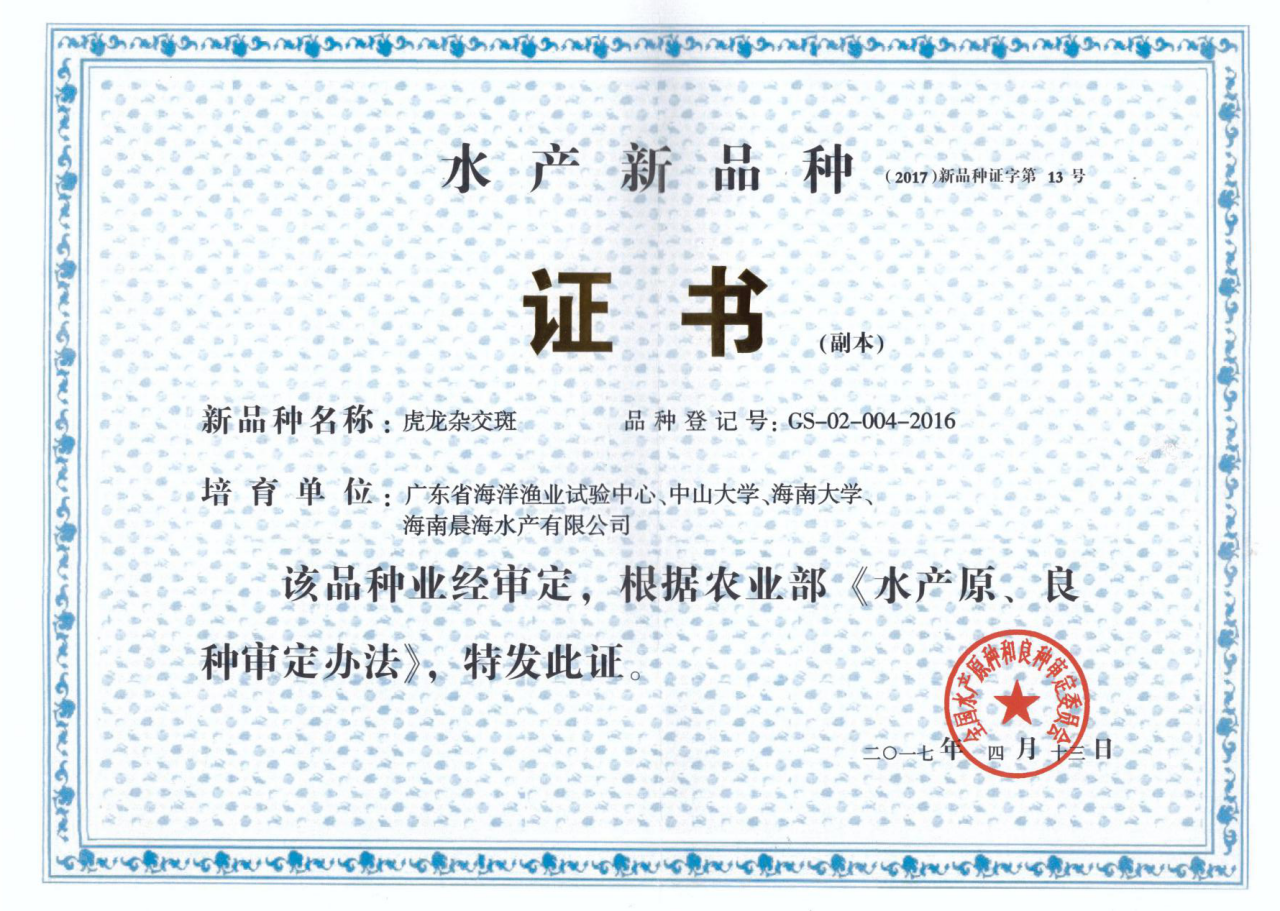 1543569625178672.png 虎龍雜交斑水產(chǎn)新品種證書.png